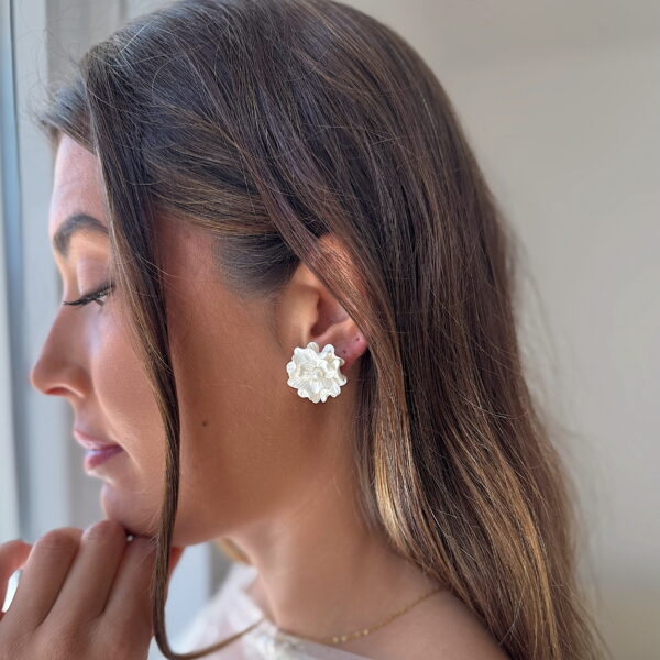 Pendientes Aciano