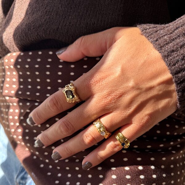 Anillo Dixi - Imagen 4