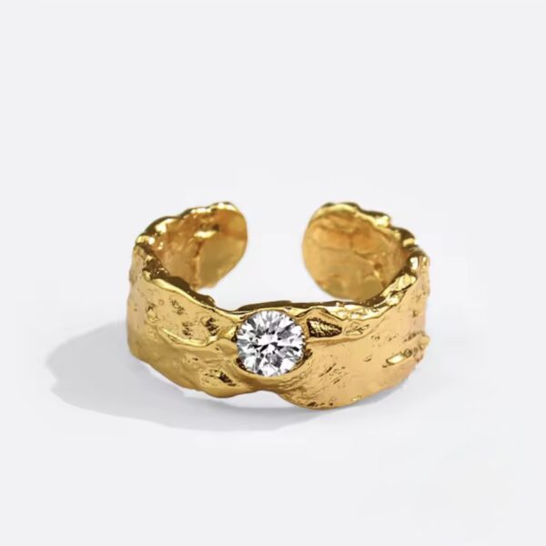 Anillo Dixi - Imagen 3